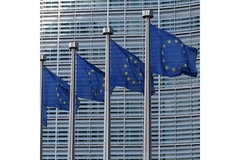 Line of EU flags.